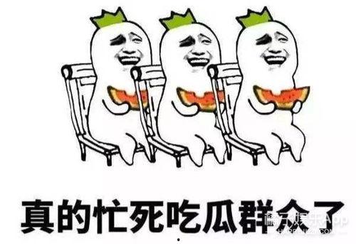 吃瓜群众爱看什么,揭秘他们热衷关注的那些热门话题