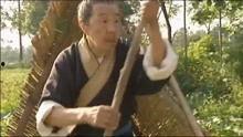 影视大盘点吃瓜,盘点年度吃瓜大事件