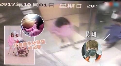 吃瓜来了完整视频,揭秘热门事件背后的真相与幕后故事