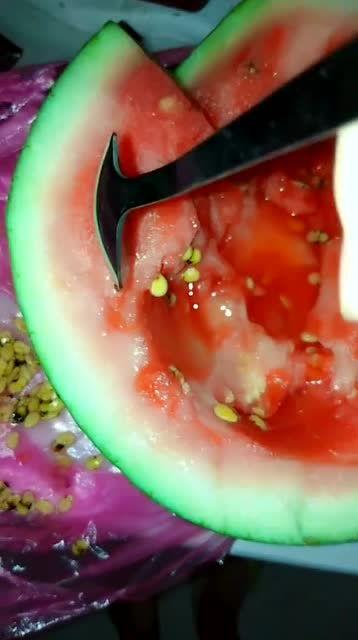 吃瓜疯狂吐籽,吃瓜乐趣无限