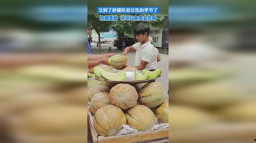 老汉在地上吃瓜,悠然自得乐享田园生活