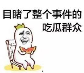 来宾的吃瓜群众,来宾风云录